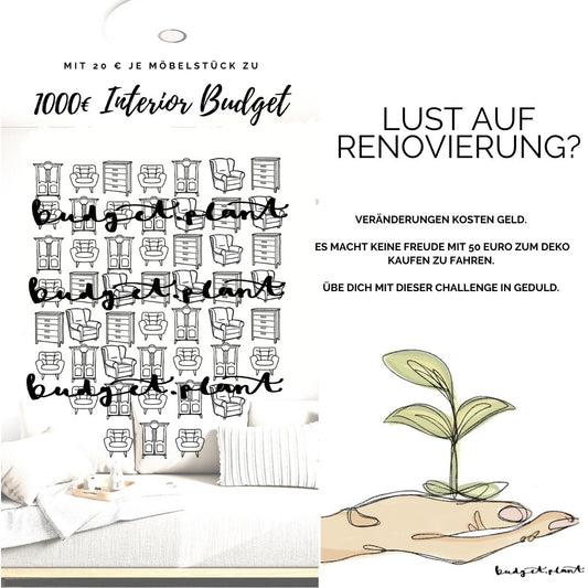 1000 Euro Interior Challenge - budgetplant